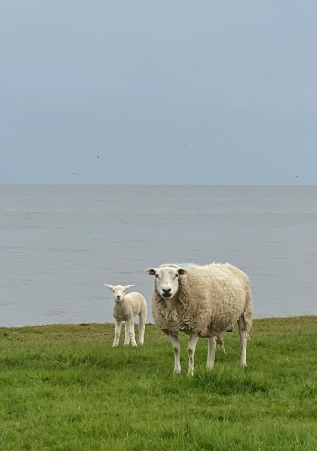 De Vier Winden Villa Hindeloopen Bagian luar foto